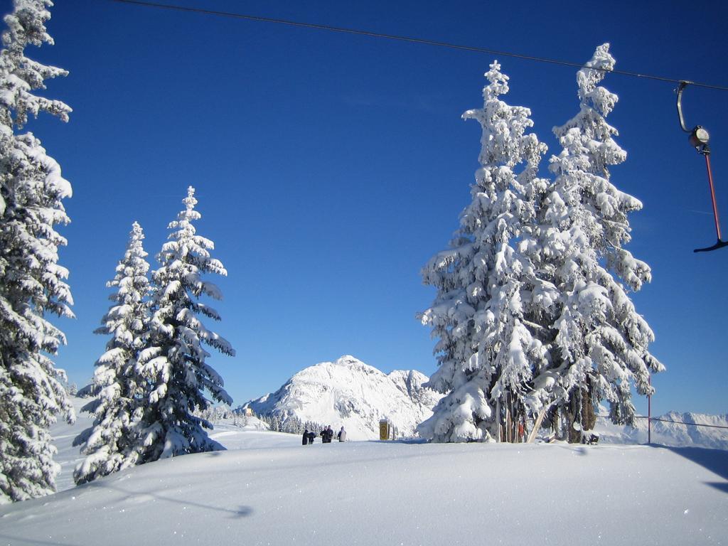 Ferienhaus Niedermoser Leogang Zewnętrze zdjęcie